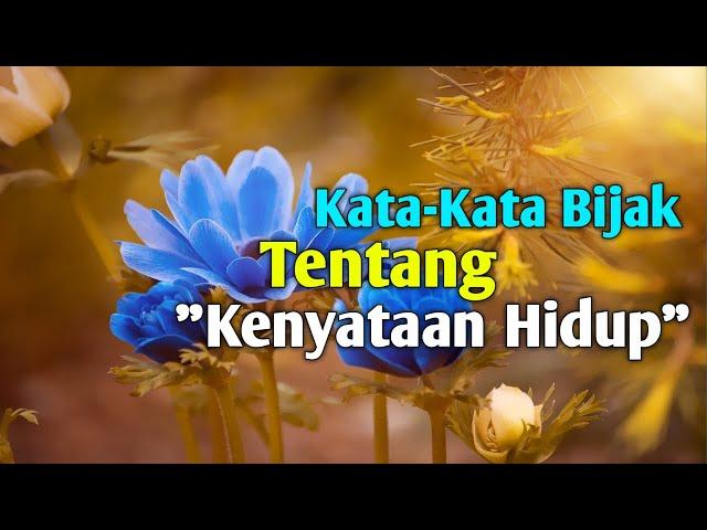 KATA-KATA BIJAK TENTANG KENYATAAN HIDUP YANG MENGUATKAN HATI.