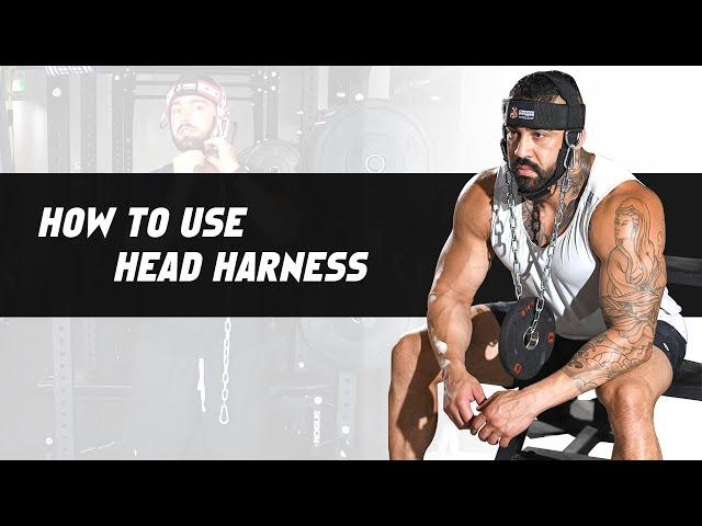 How to Use Head Harness | Neck Training | DMoose