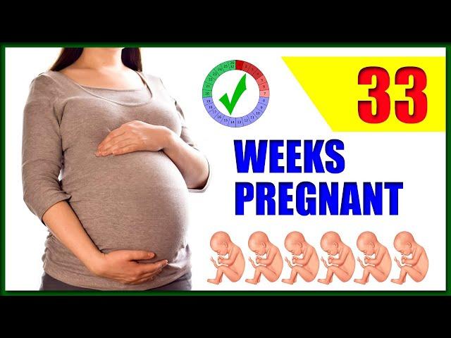 33 Weeks Pregnant – Baby Position and Movement | Symptoms