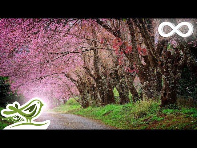 Relaxing Piano Music • Romantic Beautiful Music, Relaxation Music, Sleep Music #92