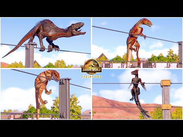 Climbing the Fences Animations of Small and Hybrid Dinosaurs  Jurassic World Evolution 2 - JWE