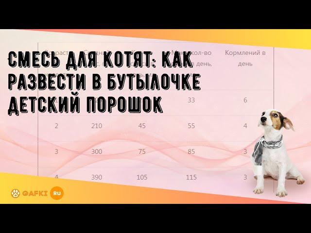 Смесь для котят: как развести в бутылочке детский порошок