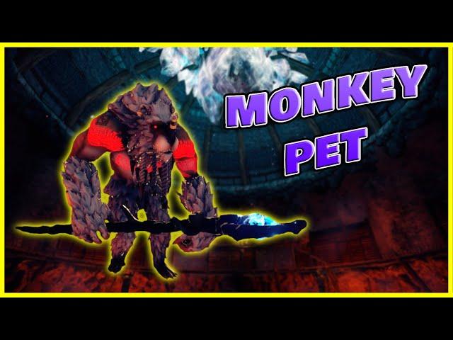 GET THIS PET NOW!!! | Awesome Calygrey Colosseum & Epic Rewards In Outward