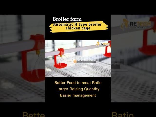 Automatic H type broiler chicken cage | poultry battery cage | broiler farm - RETECH Farming