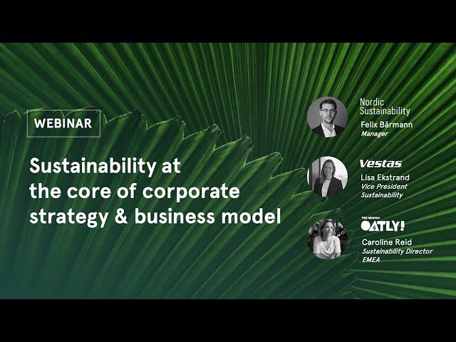 Sustainability at the core of corporate strategy & business model