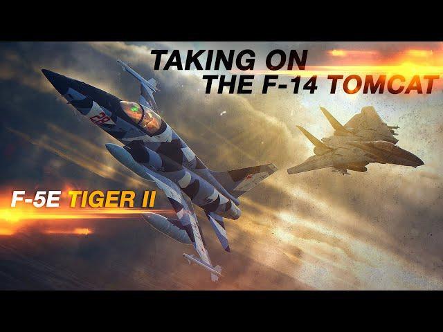 F-5E Tiger Taking on the mighty F-14 Tomcat | Dogfight | Digital Combat Simulator | DCS |