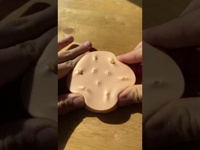 Satisfying Pimple Popper toy #shorts