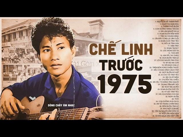 CHẾ LINH Nhạc trước 1975 - Những bài hát Hay và Cảm xúc nhất của CHẾ LINH