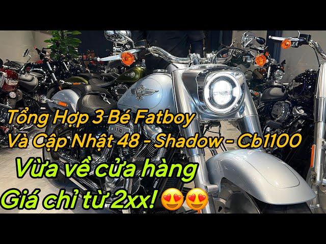 Tổng hợp 3 bé Fatboy và cập nhật các xe 48/Shadow/Cb1100 vừa nhập đội siêu chỉ từ 2XX mời anh em ️