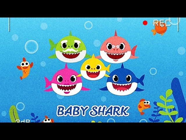 baby shark doo doo @Littleexplorermaha #like#share#subscribe