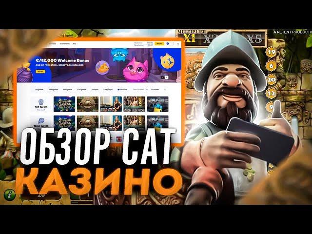 ПРОМОКОД CAT КАЗИНОАКТУАЛЬНЫЕ БОНУСЫ КАЗИНО CATОНЛАЙН КАЗИНО CAT