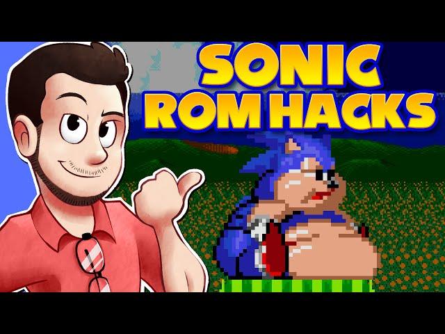 Sonic ROM Hacks - AntDude