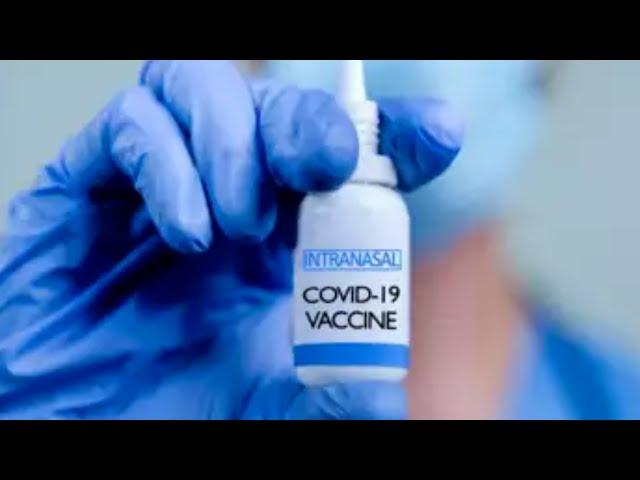 Covid-19: Bharat Biotech's nasal vaccine cleared for use