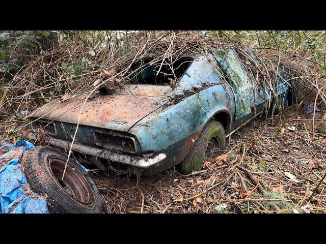 I got a FREE Camaro. There’s just one catch... #1967camaro #musclecar  #barnfind #camaro