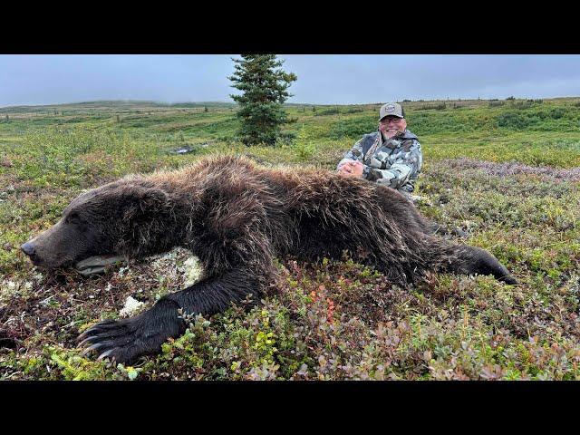 Alaskan Grizzly Bear Hunt