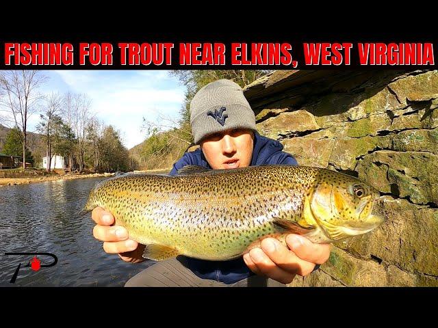 Trout Fishing Near Elkins West Virginia