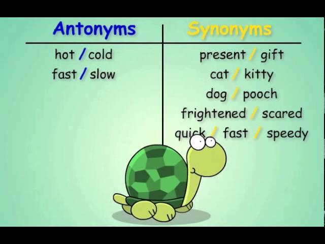 Antonyms and Synonyms