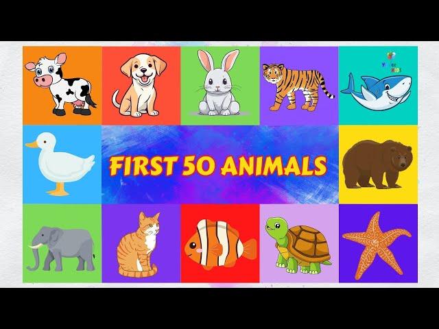 Discover the Wildlife Wonders : Meet the First 50 Animals for Kids! | Yippee Kids