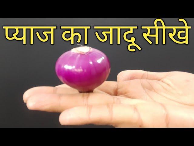 Onion Magic Tricks By Magic Trick Guru