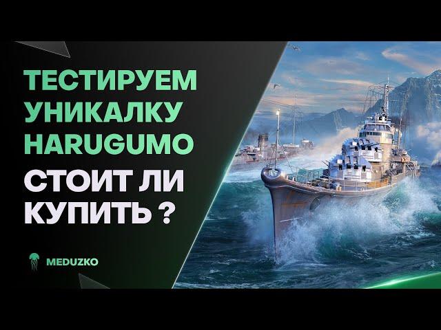 УНИКАЛЬНЫЙ HARUGUMO ● ПОСЛЕ БОЛЬНИЧКИ