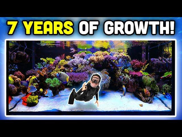 INSANE Reef Aquarium! Keys to AMAZING Coral Growth and Fish Keeping!