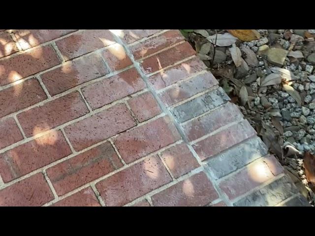 Simple way to remove mortar stains from brick!