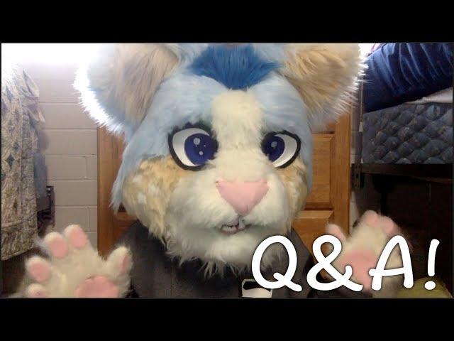 500 Amino Followers Q&A!