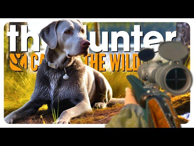 Hunting ducks with my NEW DOG! (labrador dlc) | theHunter: Call of the Wild