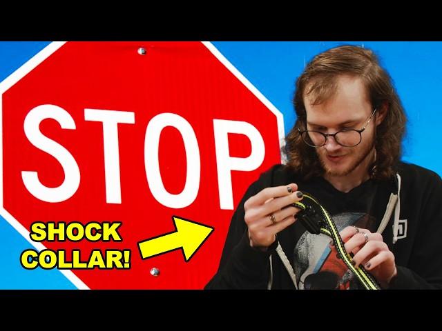 Ethan Learns Traffic Signs (w/ SHOCK COLLAR) | Unprofessional Videos