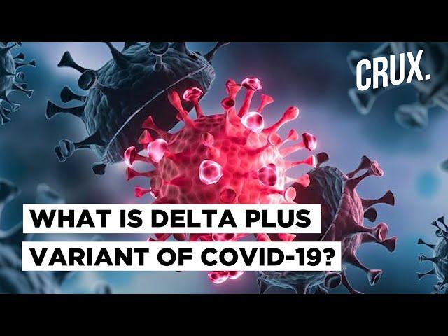 Delta Plus | What Happens When The Delta Variant of Covid-19 Mutates Into A More Lethal Strain