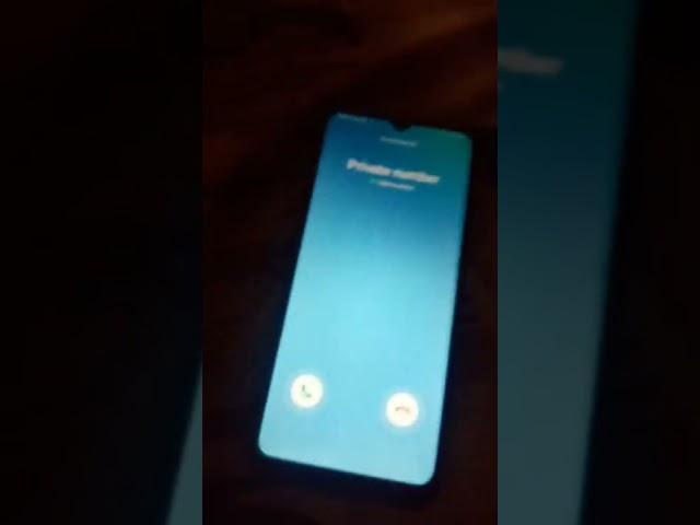 oh no Bluey .exe call my cell phone