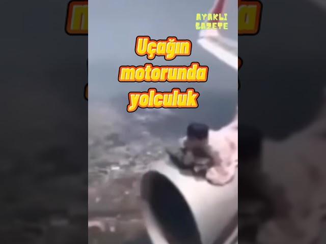 Uçağın motorlarına tutunan afgan uçaktan düşen afgan, uçağa tutunan afganlar,