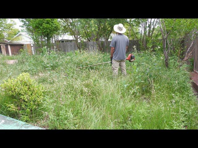 BEAUTIFUL GARDEN was HIDING UNDER OVERGROWN YARD, NATURE TRIED CLAIMING this yard