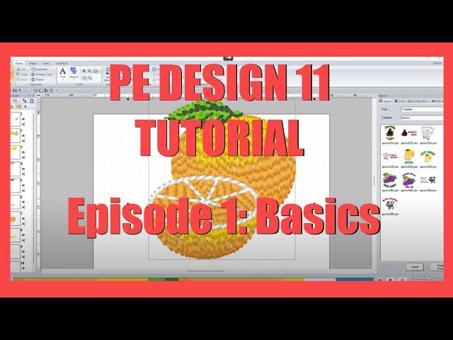 PE Design 11  Tutorial - Episode 1: Basics