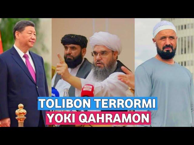 TOLIBON TERRORMIYOKI QAHRAMON? /ABROR MUXTOR ALIY