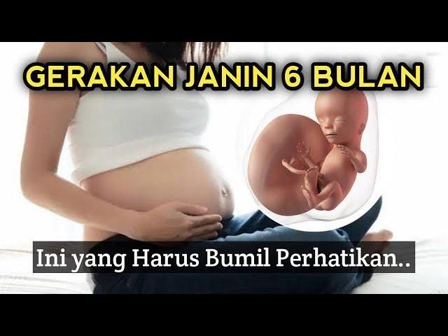 GERAKAN JANIN 6 BULAN YANG NORMAL, Ibu Hamil Perhatikan Hal Ini..