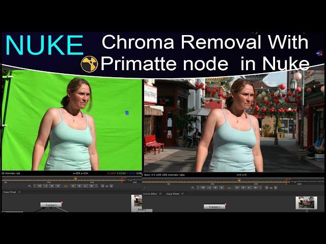 Nuke Tutorial – Chroma Removal with Primatte node in Nuke | Keying in Nuke | Primatte Keyer