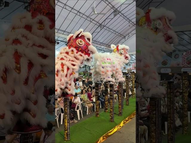 Yi Wei  | Lion dance