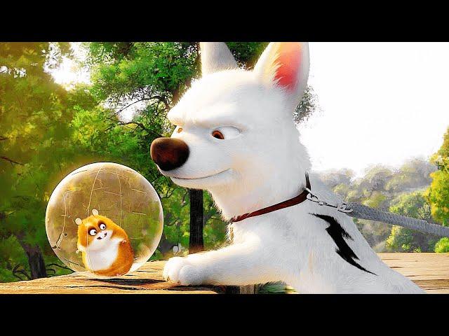 BOLT CLIP COMPILATION (2008) Disney