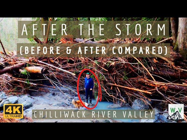 After The Storm - 4K - Before and Aftermath of 2021 BC Storm Disaster | Chilliwack River Valley