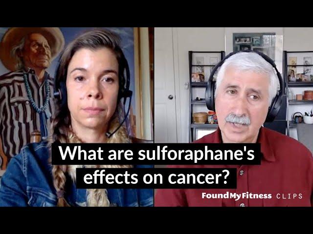 What are sulforaphane's effects on cancer? | Jed Fahey