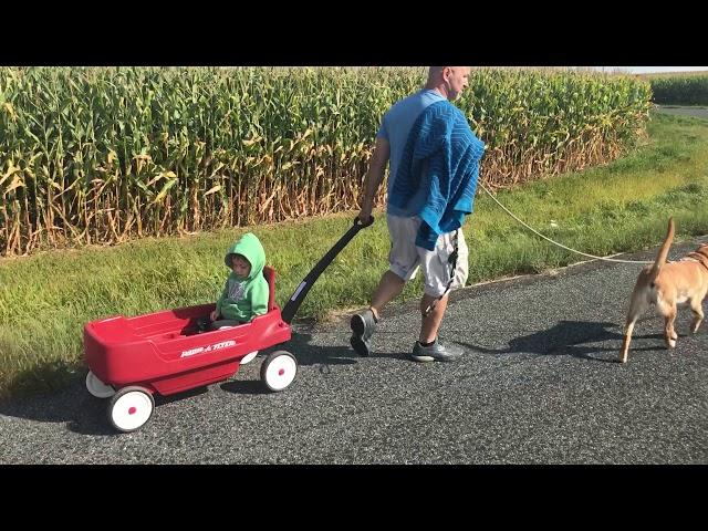 Caminhando pela manhã na fazenda de Thalita em Belmont Wisconsin