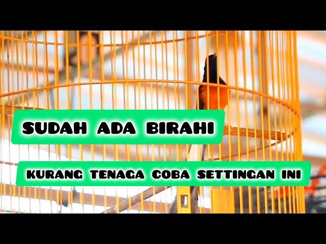 birahi tp gak punya tenaga coba setting dengan cara ini