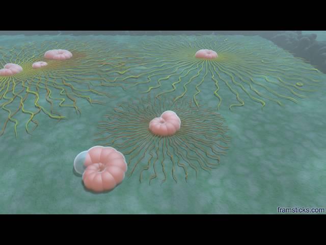 Benthic foraminifera simulation, 1500x faster than realtime