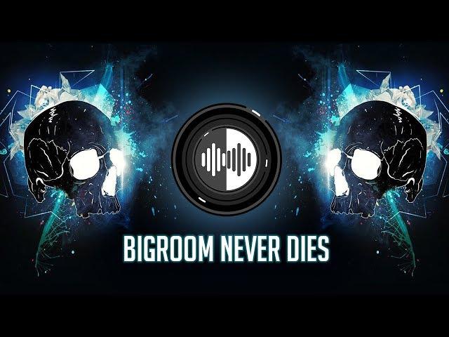 Hardwell & Blasterjaxx feat. Mitch Crown - Bigroom Never Dies (BHM Hard Edit)