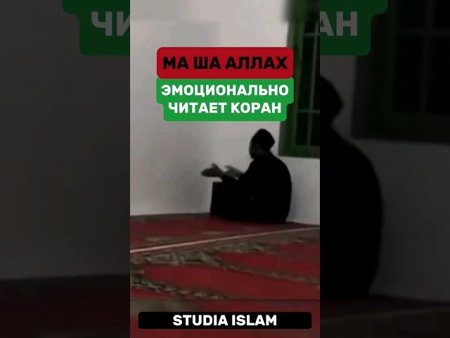 Эмоционально и очень красиво читает Коран! #коран #islam #freepalestine  #studiaislam