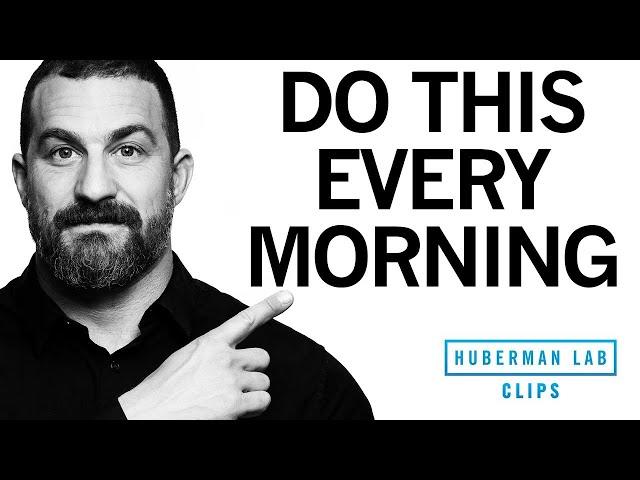 How to Feel Energized & Sleep Better With One Morning Activity | Dr. Andrew Huberman