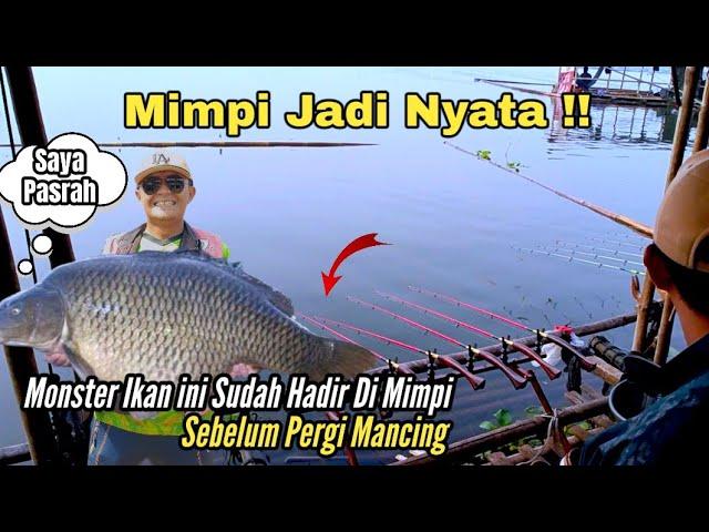 EDIIAANNN REKOR TERBARU !! DAPAT MONSTER IKAN TERBESAR SEPANJANG SEJARAH DI EVENT MANCING ALAM LIAR