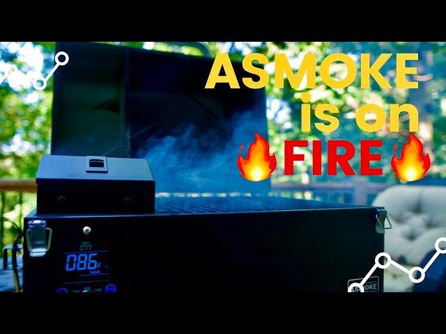 Asmoke AS300 Portable Pellet Smoker Grill-Unboxing, Assembly, Review and Cook