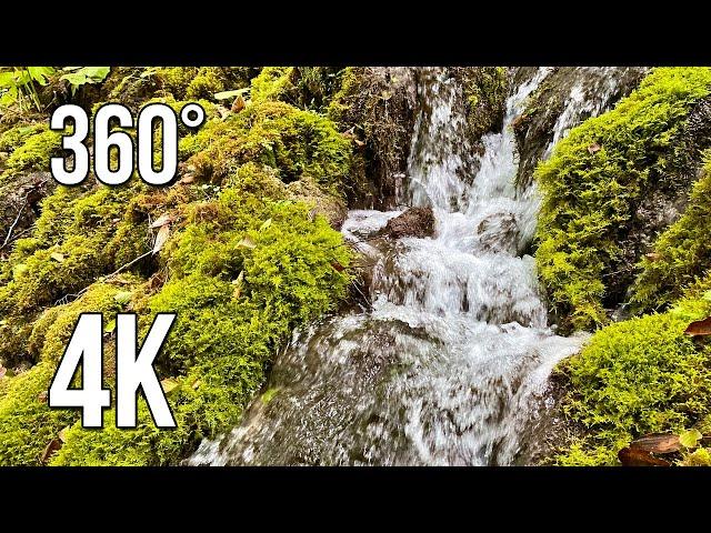 Soothing sounds of nature. A gentle waterfall and singing birds. 360-degree video.